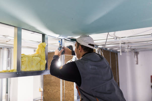 Best Specialized Insulation Services in Cedartown, GA