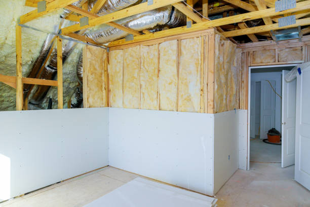Best DIY Insulation Kits and Guidance in Cedartown, GA